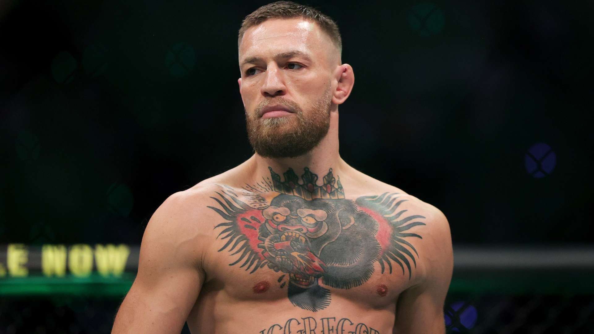 地引领球队 地引领球队